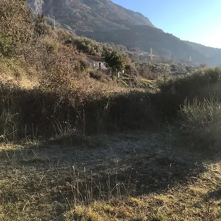 Green Village Dobra Voda פודגוריצה