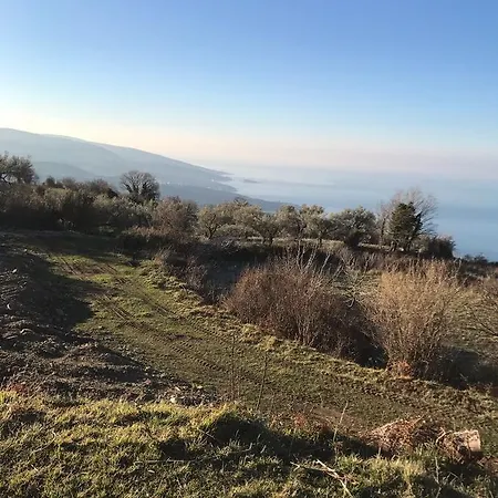 Green Village Dobra Voda Podgorica